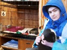 Помощь приюту для бездомных животных "Лесопилка"