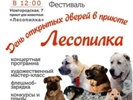В приюте для животных "Лесопилка" прошел ежегодный волонтёрский фестиваль