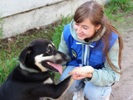 Помощь приюту для бездомных животных «Лесопилка»