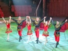 Всероссийский фестиваль детских любительских цирковых коллективов